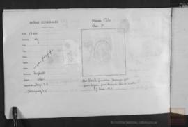 Quintana Noriega, Vicente - Pasaporte