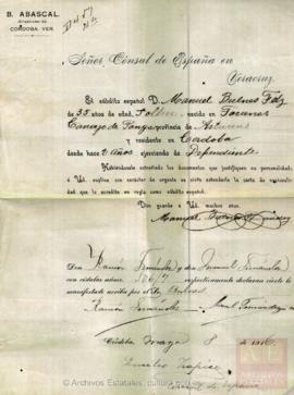 Bulnes Fernández, Manuel - Cédula de nacionalidad