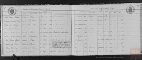 Open original Objeto digital