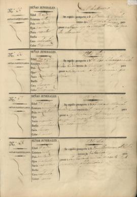 173r Libro registro de pasaportes para ultramar