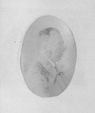 Fernández García, Frutos